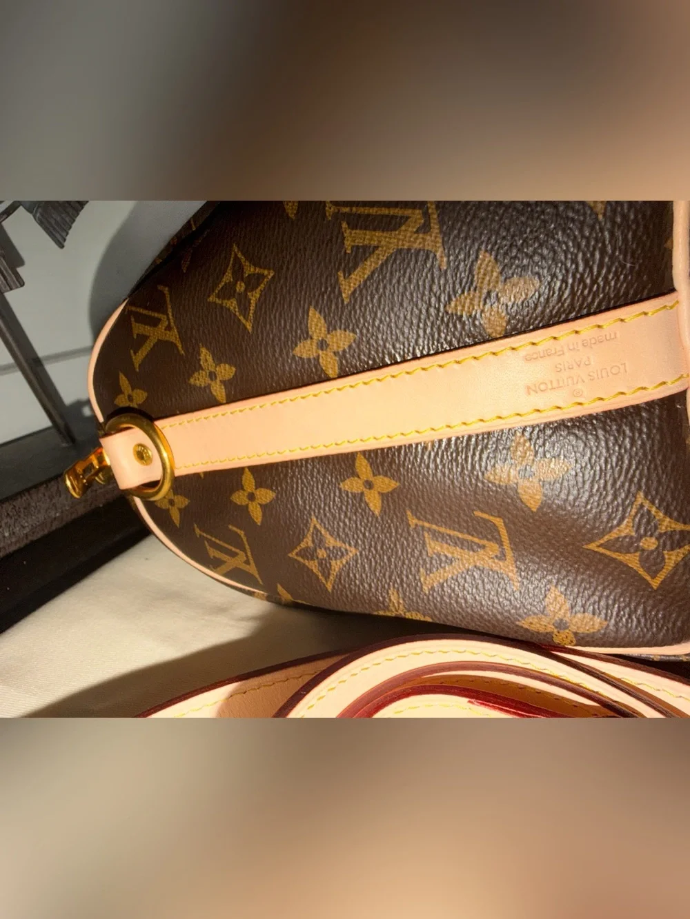 Louis Vuitton Speedy Bandouliere 25 bag